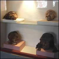 Museo Inkahuasi